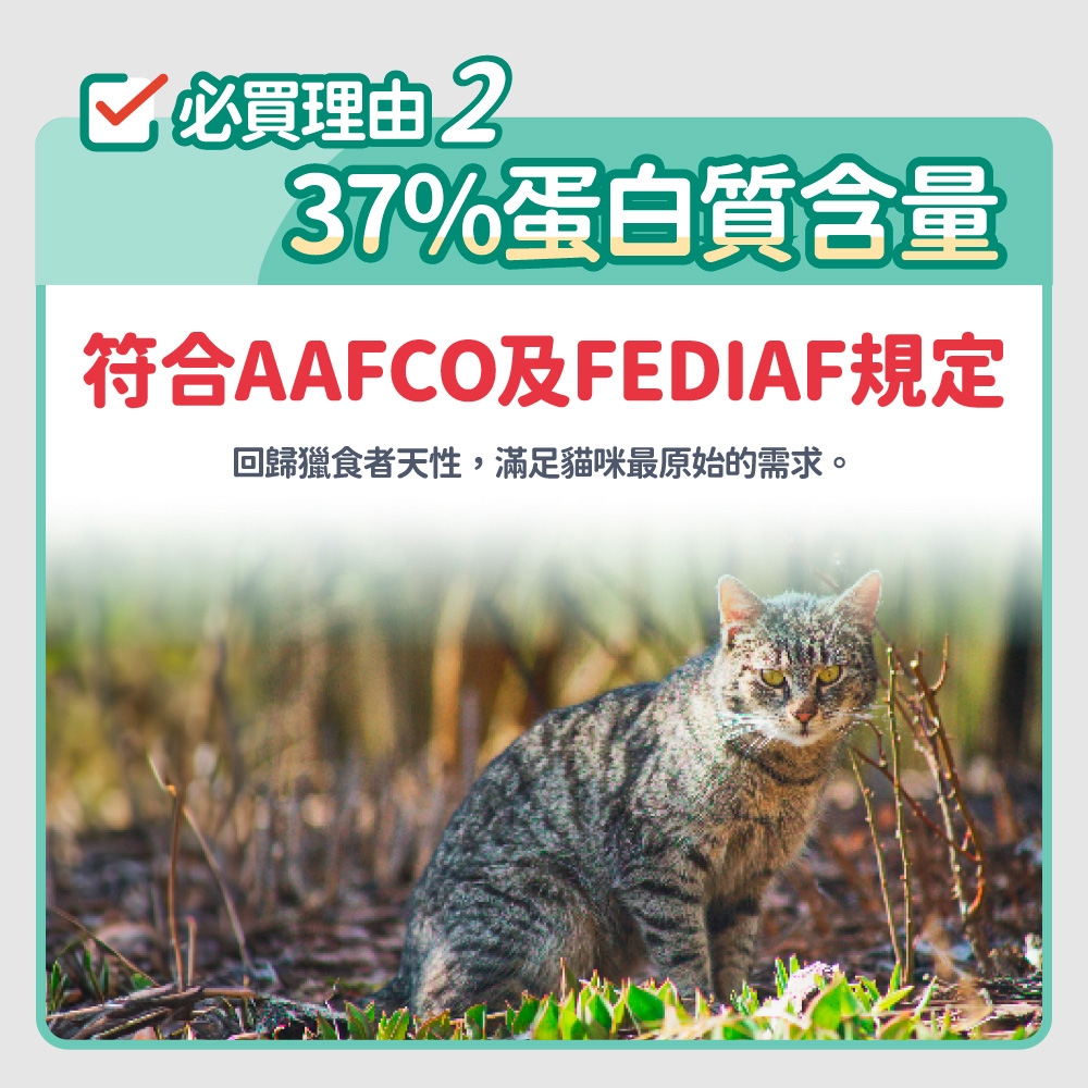 必買理由 237%蛋白質含量符合AAFCO及FEDIAF規定回歸獵食者天性,滿足貓咪最原始的需求。