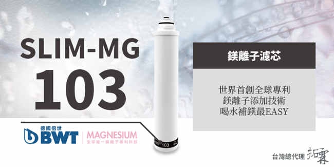 【BWT德國倍世】BWT PURE SLIM生飲水淨水器 SLIM 4