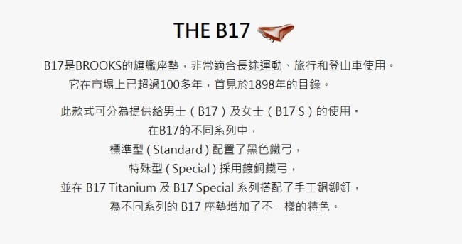 【BROOKS】B17 Standard 皮革座墊