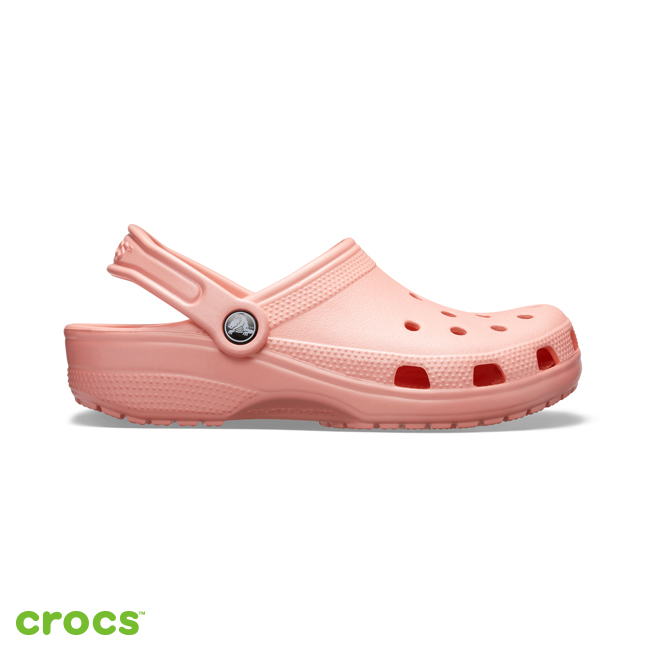 Crocs 卡駱馳 (中性鞋) 經典克駱格 10001-737