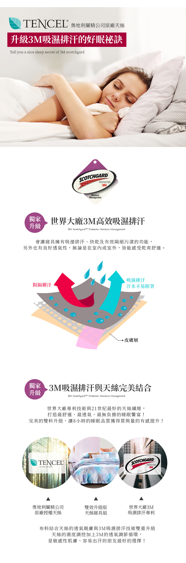 Ania Casa 睡羊羊 涼感天絲 採用3M吸溼排汗專利 加大鋪棉兩用被床包組