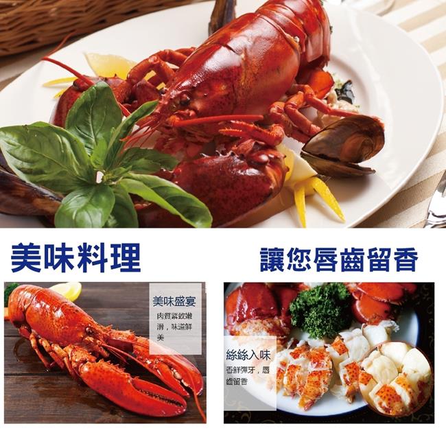 【海陸管家】海鮮雙拼組-波士頓龍蝦+北海道大扇貝