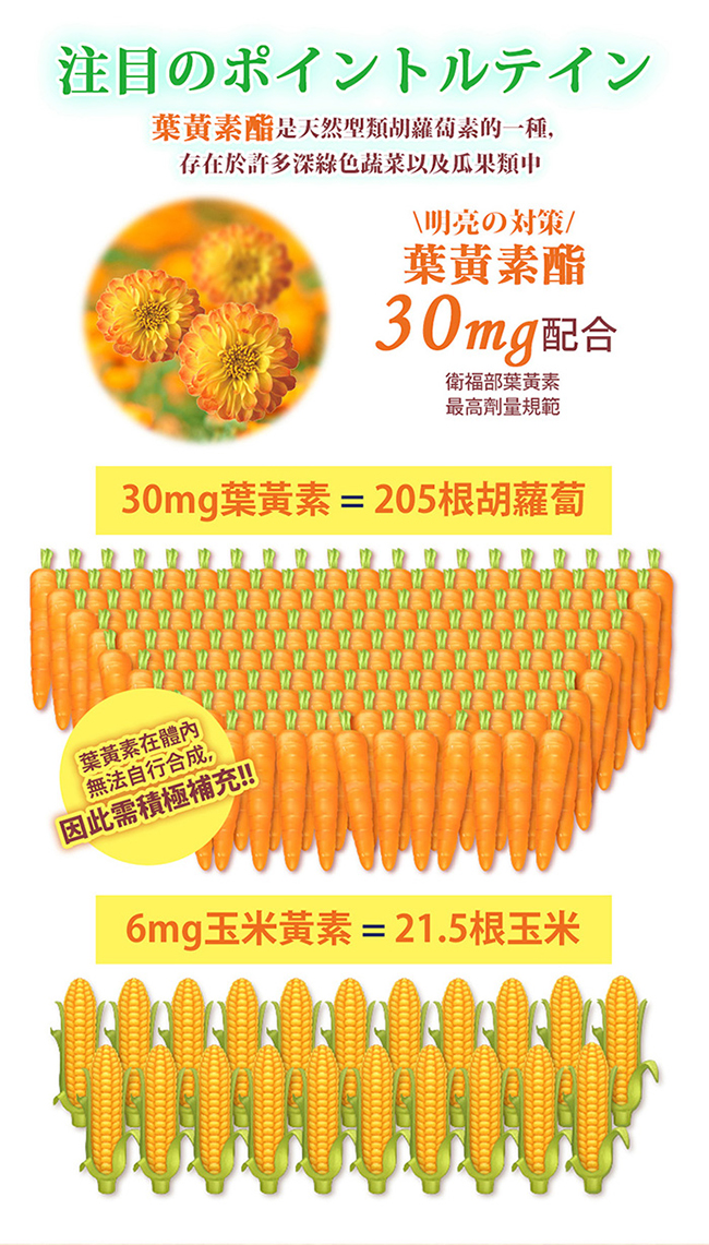 元氣堂黃金比例金盞花葉黃素水潤膠囊30粒/盒(酯化型+玻尿酸+全素可食)