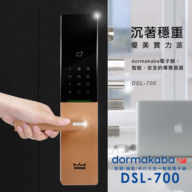 dormakaba 密碼/卡片/鑰匙智能電子門鎖DSL-700-香檳金(附基本安裝)