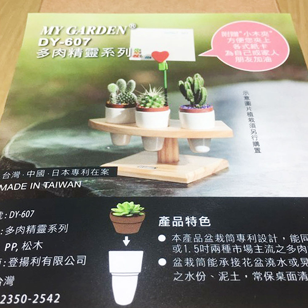 My Garden療癒植物容器 多肉精靈系列/盆栽手捲架/1吋*3孔-DY607