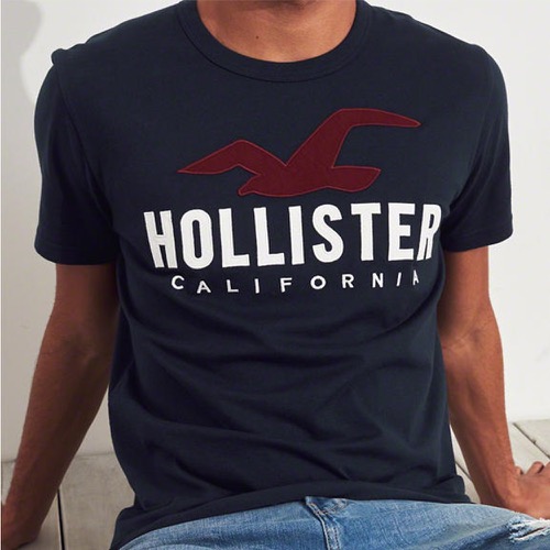 海鷗 Hollister 經典刺繡大海鷗文字短袖T恤-深藍色