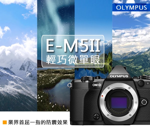 OLYMPUS E-M5 Mark II 單機身*(中文平輸)