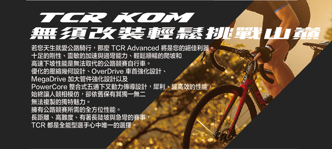 GIANT TCR ADVANCED 2 KOM王者不敗碳纖公路車