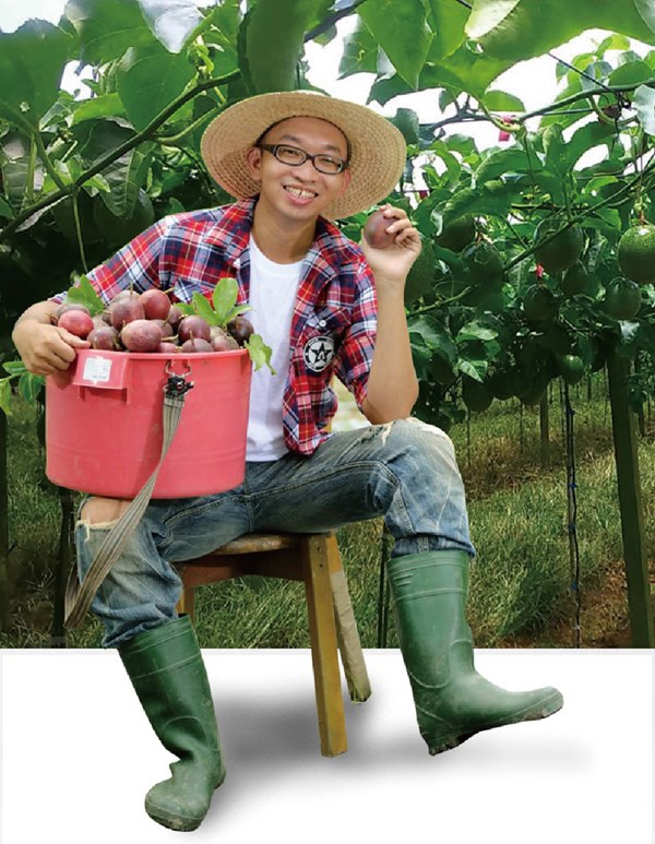 沁甜果園SSN 高雄型農傳統百香果3台斤/盒,(共4盒)