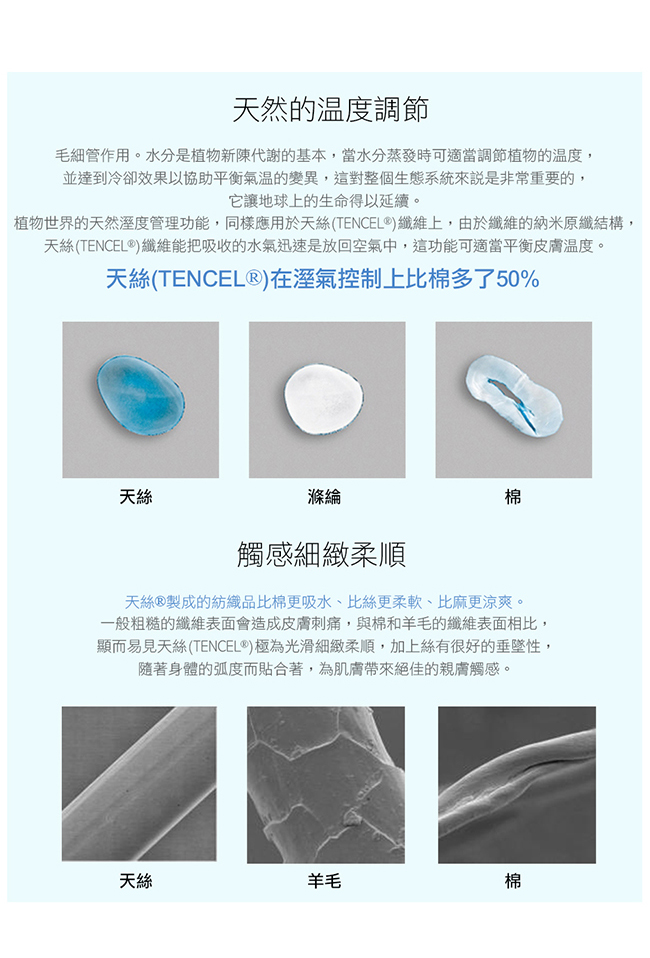 鴻宇 歐式壓框薄枕套2入 天絲300織 諾維亞 台灣製