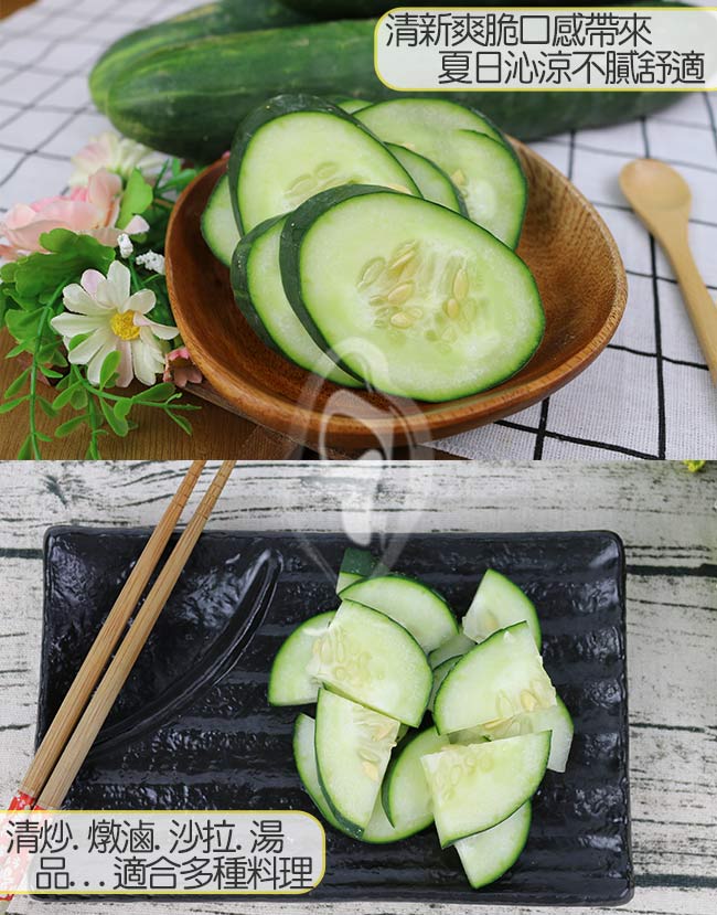 鮮採家 台灣特級鮮脆胡瓜 大黃瓜10台斤