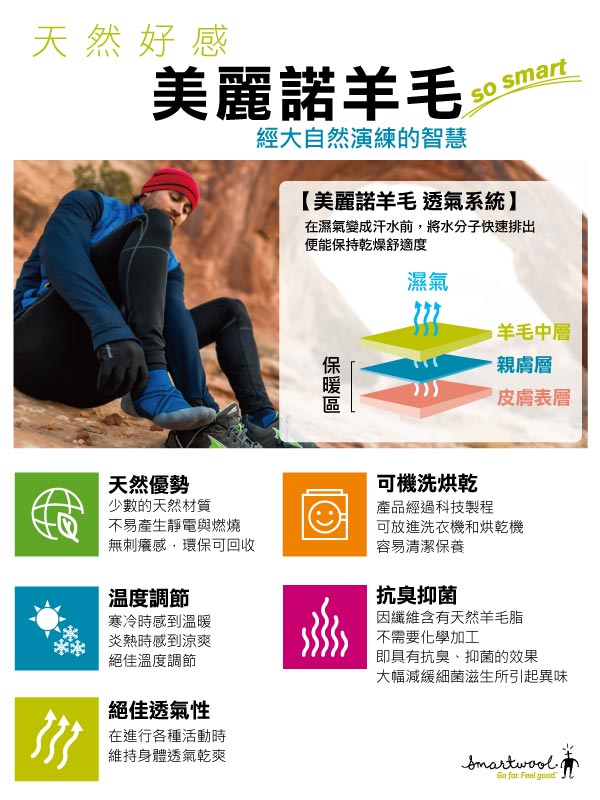 SmartWool 女PhD跑步超輕踝襪 白/淺灰