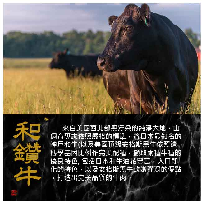 【漢克嚴選】美國和牛PRIME厚切霜降沙朗牛排5片(300g±10%/片)