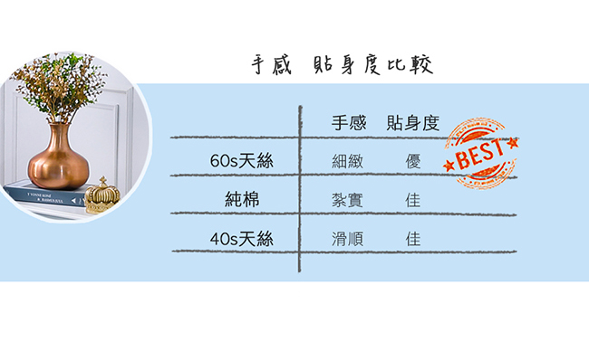 鴻宇 歐式壓框薄枕套2入 天絲300織 柏拉圖 台灣製