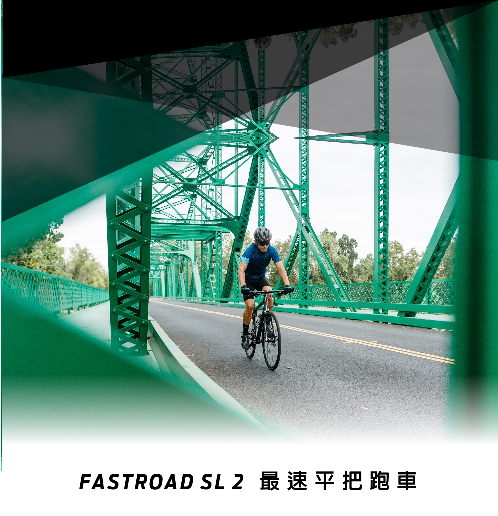 GIANT FASTROAD SL 2