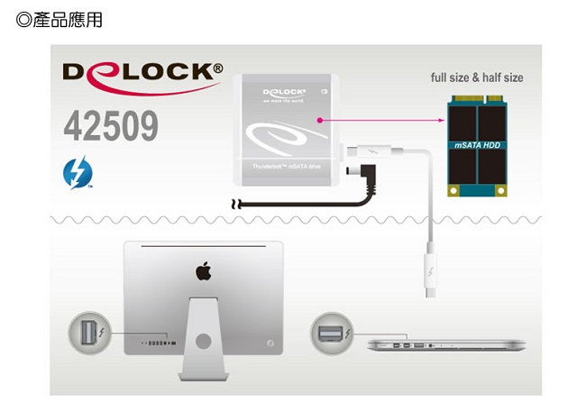 Delock 2.5吋Thunderbolt™ to mSATA 硬碟外接盒－42509
