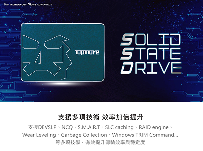 達墨TOPMORE 480GB 2.5吋SATAIII SSD(TLC)