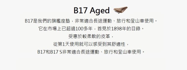 【BROOKS】B17 Aged 鞣革座墊