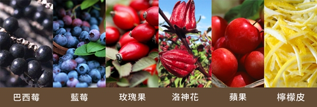 英國HIGHER LIVING 莓果嘉年華有機花果茶包(15入)