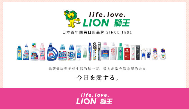 日本獅王LION 趣淨洗手慕斯-清新果香 250ml