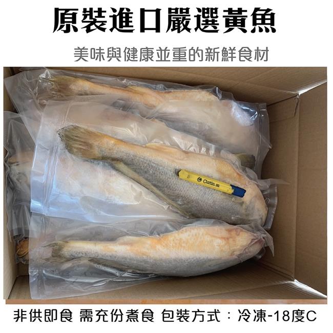 【海陸管家】巨無霸野生深海黃魚 2尾(每尾約600-700g)