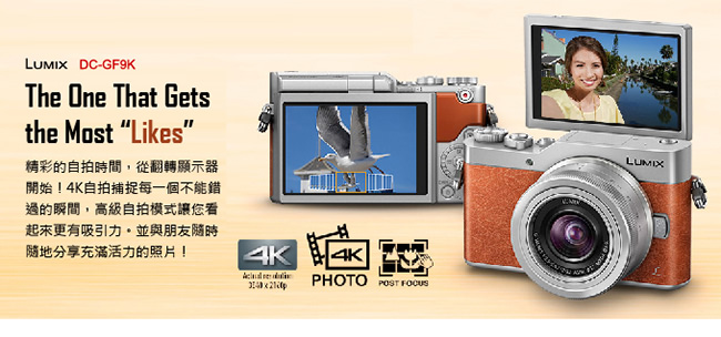 Panasonic Lumix DC-GF9 單機身*(中文平輸)