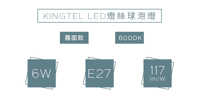 【KINGTEL】LED經典燈絲球泡燈6W-白光-霧面-24入