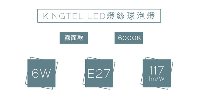 【KINGTEL】LED經典燈絲球泡燈6W-白光-霧面-12入
