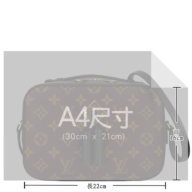 LV M43555 Monogram 經典LV花紋黑色流蘇方形手提/斜背包