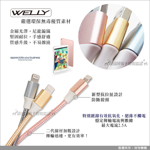 WELLY iPad pro Air Lightning 二代編織線-30CM