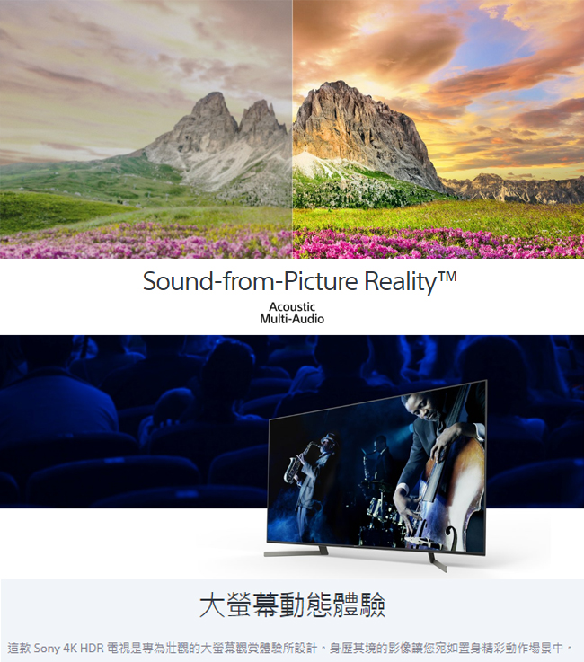 SONY索尼 65吋 4K HDR 智慧聯網液晶電視 KD-65X9500G