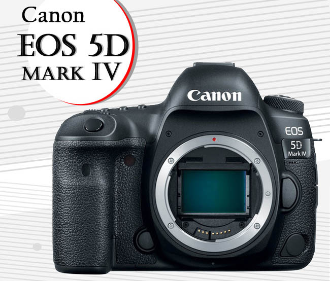 CANON EOS 5D Mark IV 單機身*(中文平輸) | 單眼-全片幅/中片幅| Yahoo