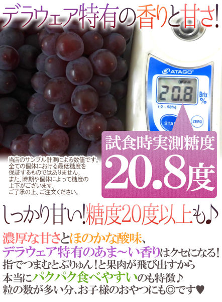 【天天果園】日本原裝島根/山梨縣珍珠葡萄2kg(13-17串)