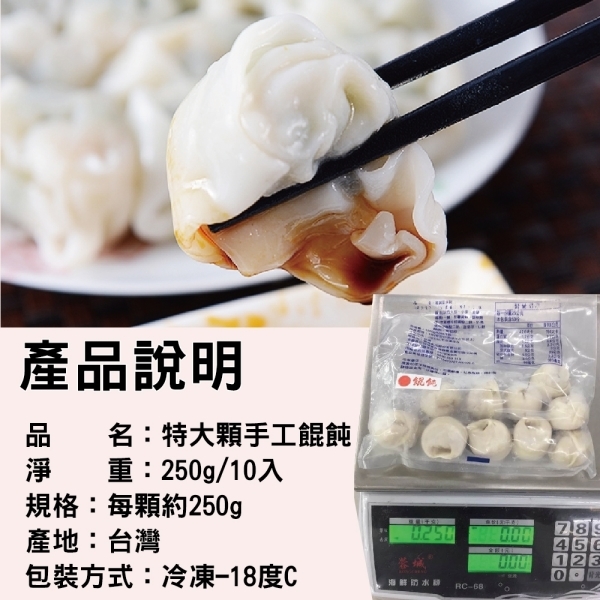 海陸管家手工大顆鮮肉餛飩(每包10顆/共約250g) x2包