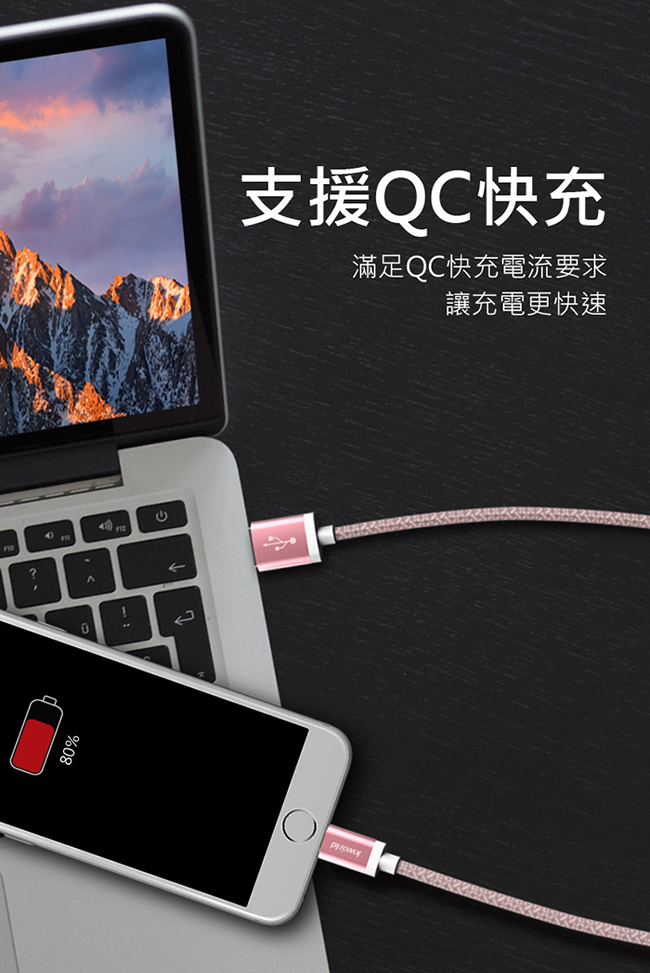 Kworld 廣寰 Z2110 Micro USB QC3.0鋁合金充電線 1M (金色)