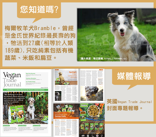 Benevo 倍樂福 英國素食認證犬貓主食罐頭 369gX12罐裝