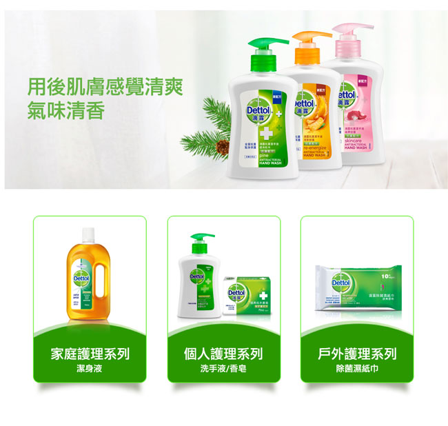 滴露Dettol-經典松木潔手液250ml