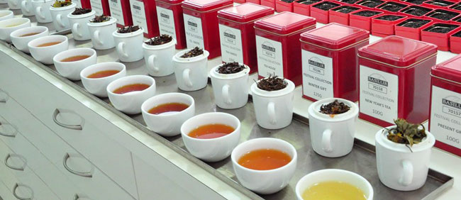 Basilur錫蘭紅茶包(2gx20入)-五產區
