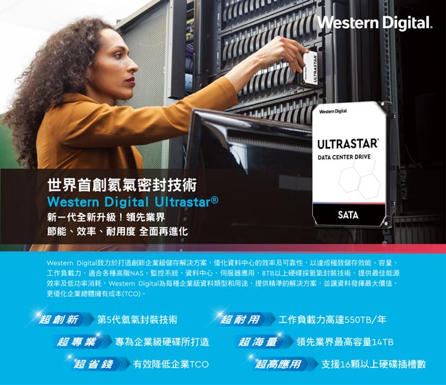 WD Ultrastar DC HA210 1TB 3.5吋企業級硬碟
