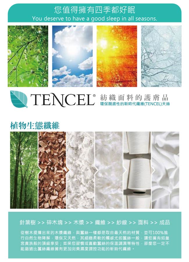 BEDDING-正60支100%天絲6尺加大雙人八件式兩用被床罩組-芳茵-TENCEL