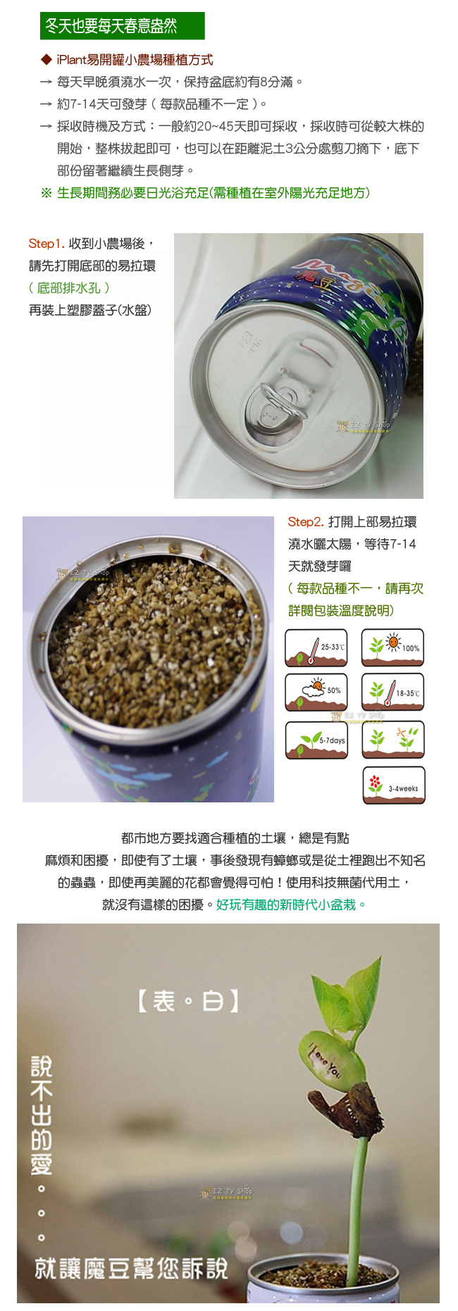 【 iPlant 】易開罐頭小農場-觀賞蕃茄