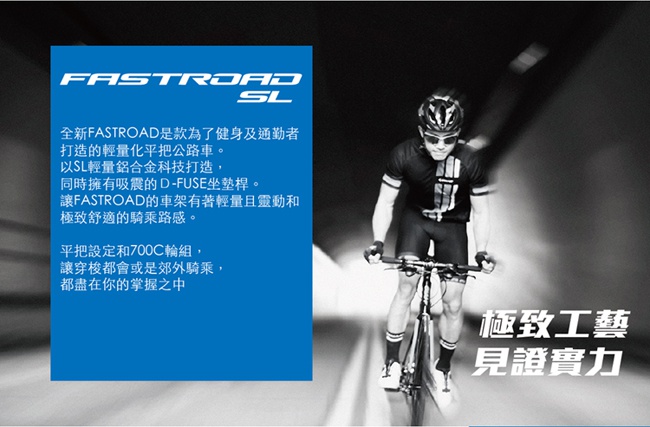 (無卡分期-12期)GIANT FASTROAD SL 2