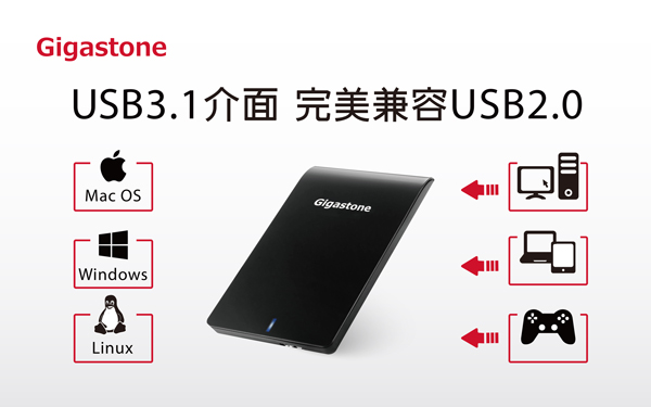 Gigastone 2TB USB3.1 2.5吋外接式行動硬碟(HDD6100)