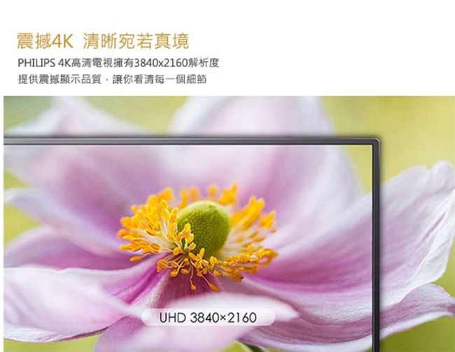 PHILIPS飛利浦 49吋 4K UHD聯網液晶顯示器+視訊盒49PUH7032