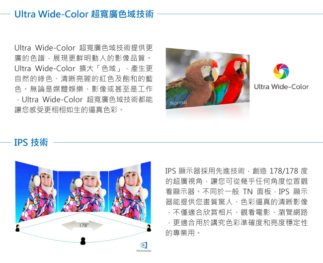 PHILIPS 246E9QDSB 24型IPS寬螢幕(黑色)