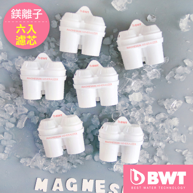 BWT德國倍世 Mg2+鎂離子8周長效濾芯-六入組