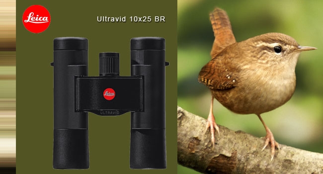 2019全新版! LEICA ULTRAVID 10X25 BR徠卡雙筒望遠鏡(帆布包)