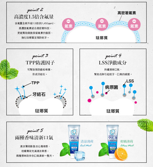 日本獅王LION 固齒佳酵素淨護牙膏 清涼薄荷 130g