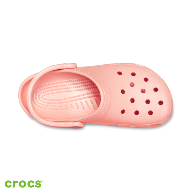 Crocs 卡駱馳 (中性鞋) 經典克駱格 10001-737