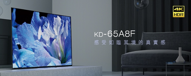 SONY 65型4K安卓連網平面電視 KD-65A8F